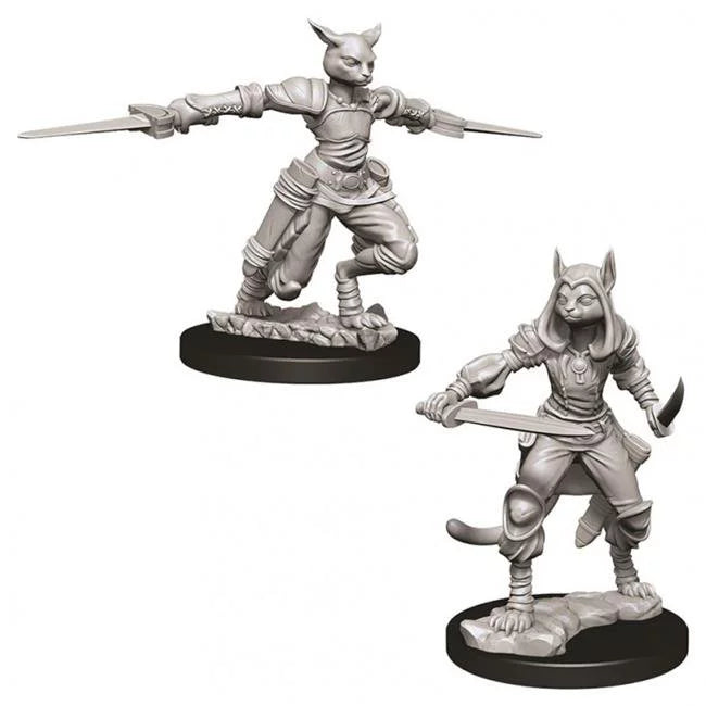 Wizkids - Nolzur's Marvelous Miniatures