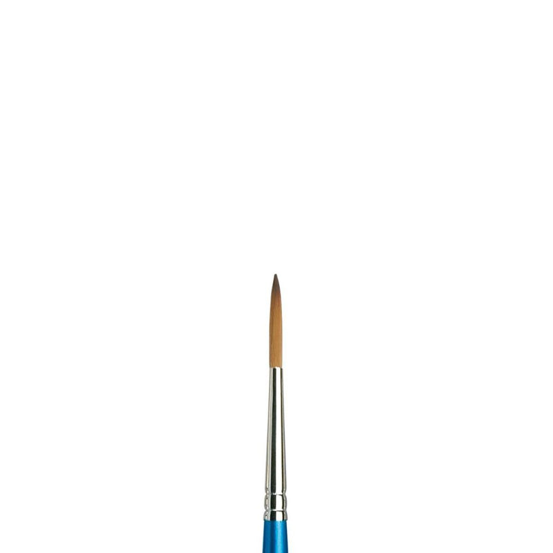 Winsor & Newton Cotman Series 222 (Elongated Round)