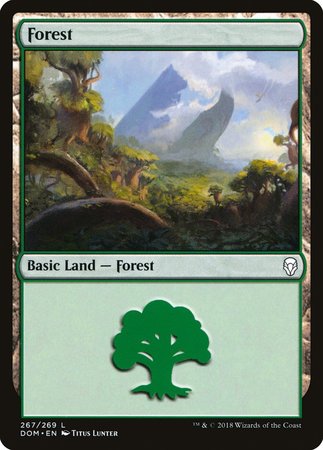 Forest (267) [Dominaria] | Event Horizon Hobbies CA