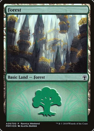 Forest - Selesnya (A09) [GRN Ravnica Weekend] | Event Horizon Hobbies CA