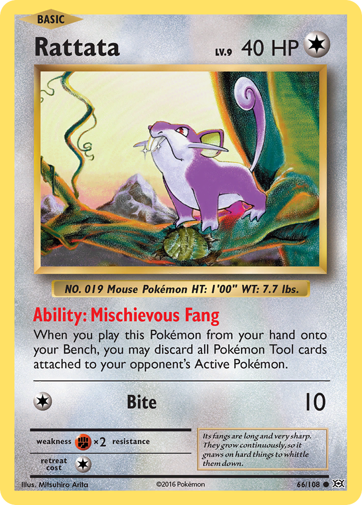 Rattata (66/108) [XY: Evolutions] | Event Horizon Hobbies CA