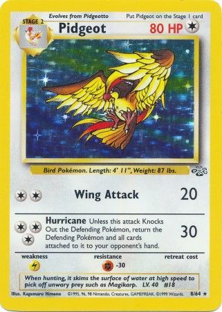 Pidgeot (8/64) [Jungle Unlimited] | Event Horizon Hobbies CA