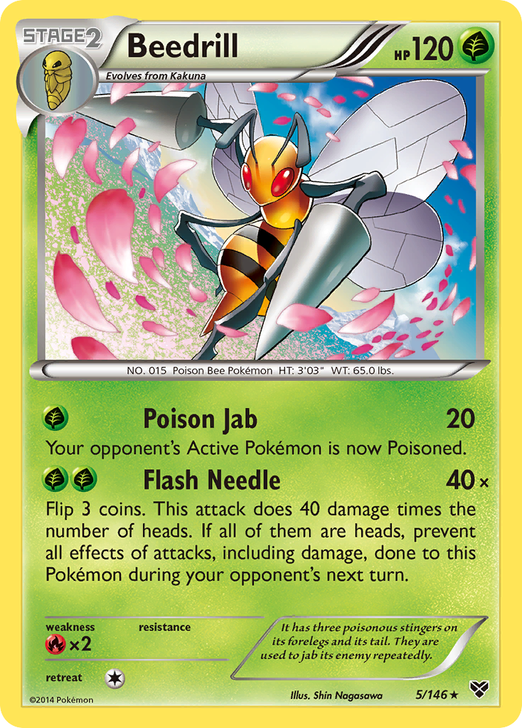 Beedrill (5/146) [XY: Base Set] | Event Horizon Hobbies CA