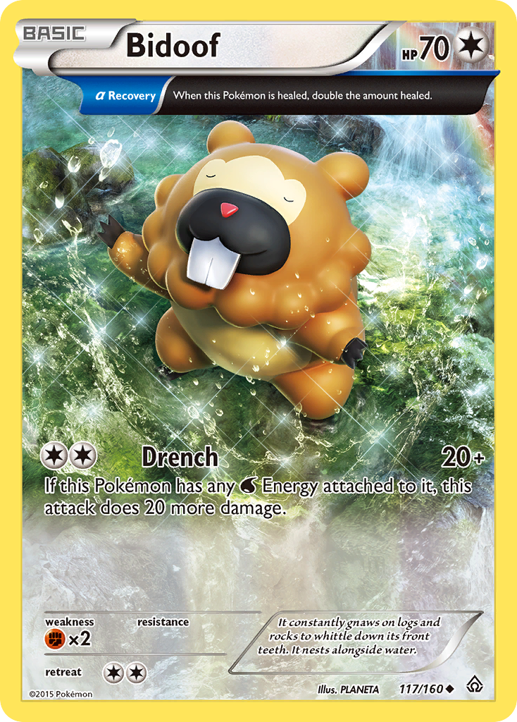 Bidoof (117/160) [XY: Primal Clash] | Event Horizon Hobbies CA