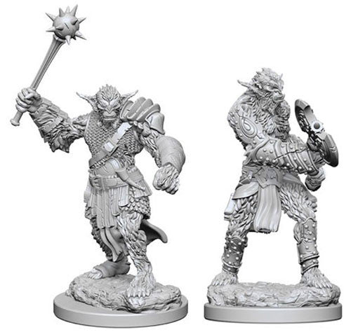 Wizkids - Nolzur's Marvelous Miniatures