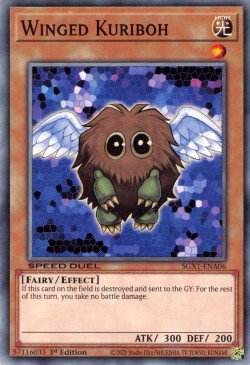 Winged Kuriboh [SGX1-ENA06] Common | Event Horizon Hobbies CA