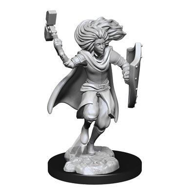 Wizkids - Nolzur's Marvelous Miniatures