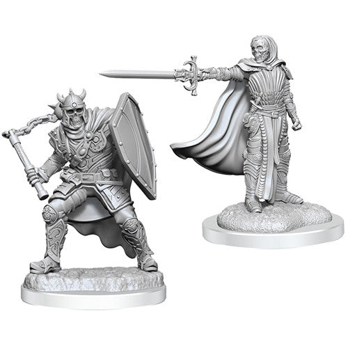 Wizkids - Nolzur's Marvelous Miniatures Wave 20