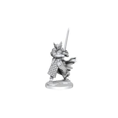 D&D - Frameworks - Dragonborn Paladin Male | Event Horizon Hobbies CA