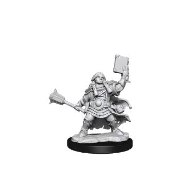 D&D - Frameworks - Dwarf Cleric Female | Event Horizon Hobbies CA