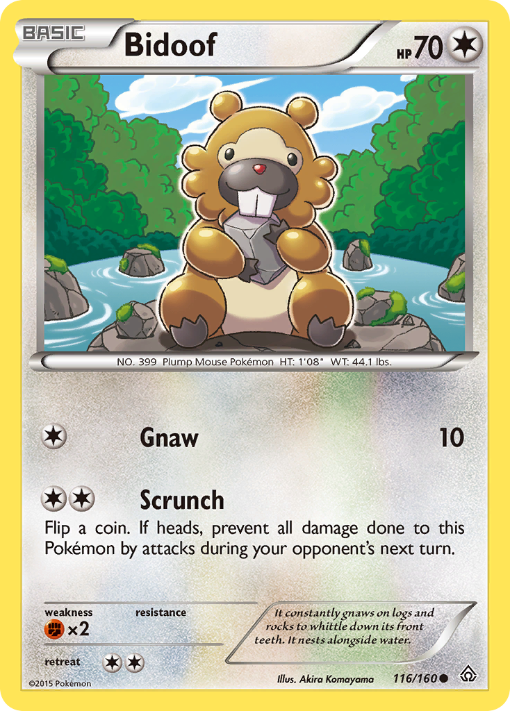 Bidoof (116/160) [XY: Primal Clash] | Event Horizon Hobbies CA