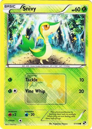 Snivy (1/114) (League Promo) [Black & White: Base Set] | Event Horizon Hobbies CA