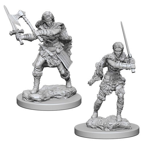 Wizkids - Nolzur's Marvelous Miniatures