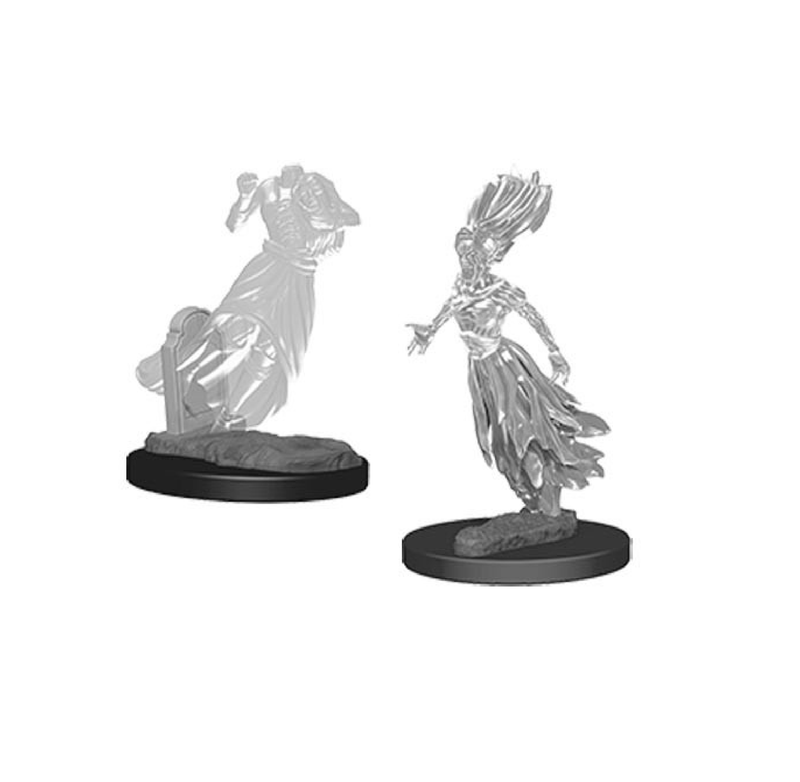 Wizkids - Nolzur's Marvelous Miniatures