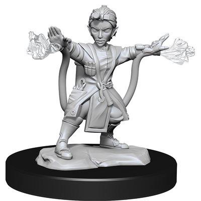 Wizkids - Nolzur's Marvelous Miniatures