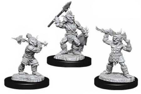 Wizkids - Nolzur's Marvelous Miniatures