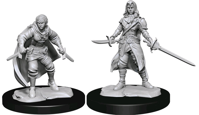 Wizkids - Nolzur's Marvelous Miniatures