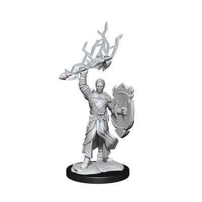 Wizkids - Nolzur's Marvelous Miniatures