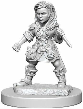 Wizkids - Nolzur's Marvelous Miniatures