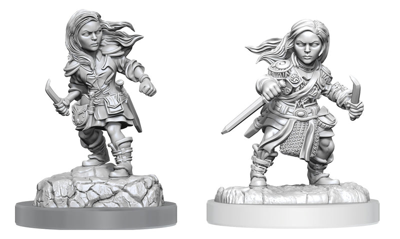 Wizkids - Nolzur's Marvelous Miniatures Wave 20