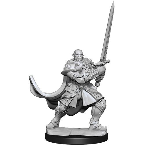 Wizkids - Nolzur's Marvelous Miniatures