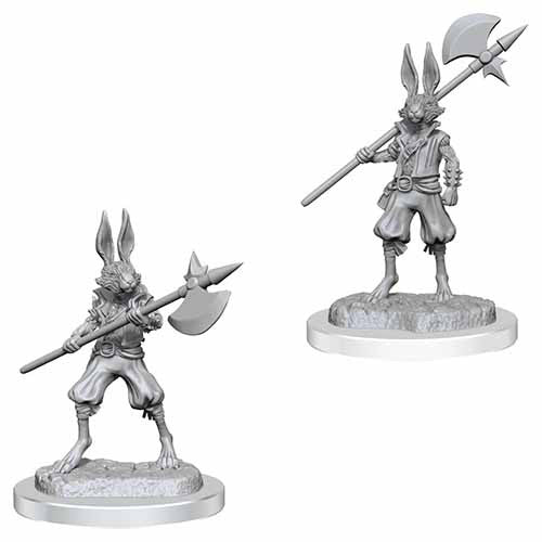 Wizkids - Nolzur's Marvelous Miniatures Wave 18