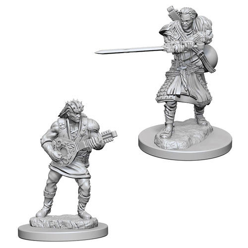 Wizkids - Nolzur's Marvelous Miniatures