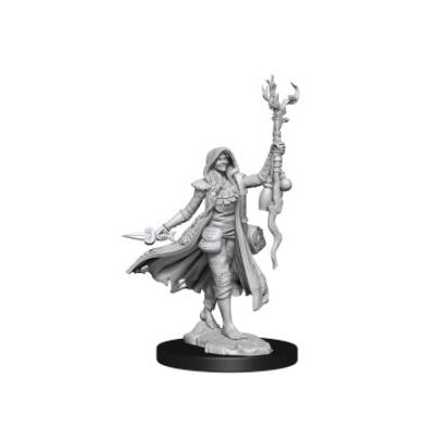 D&D - Frameworks - Human Druid Female | Event Horizon Hobbies CA