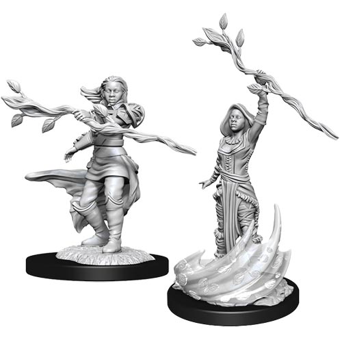 Wizkids - Nolzur's Marvelous Miniatures