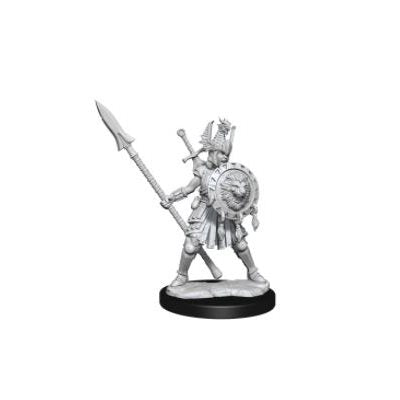 D&D - Frameworks - Human Fighter Female | Event Horizon Hobbies CA