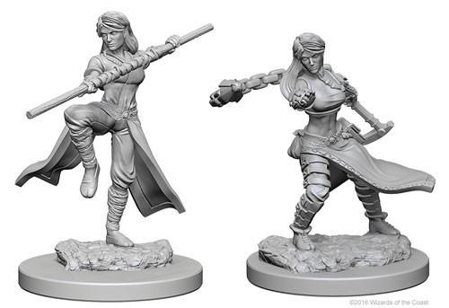 Wizkids - Nolzur's Marvelous Miniatures