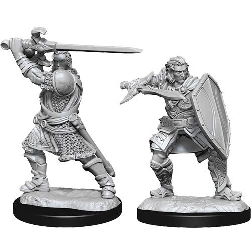 Wizkids - Nolzur's Marvelous Miniatures