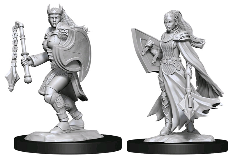 Wizkids - Nolzur's Marvelous Miniatures