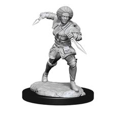 Wizkids - Magic: The Gathering Unpainted Miniatures: Wave 2 | Event Horizon Hobbies CA