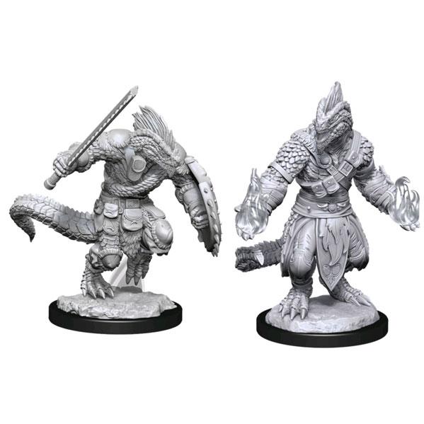 Wizkids - Nolzur's Marvelous Miniatures