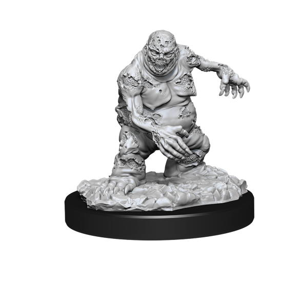 Wizkids - Nolzur's Marvelous Miniatures