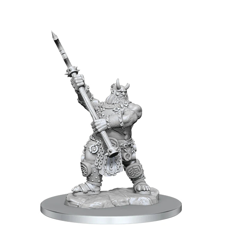 Wizkids - Critical Role - Unpainted Mini