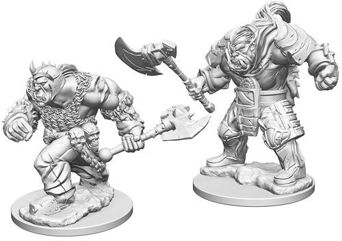 Wizkids - Nolzur's Marvelous Miniatures