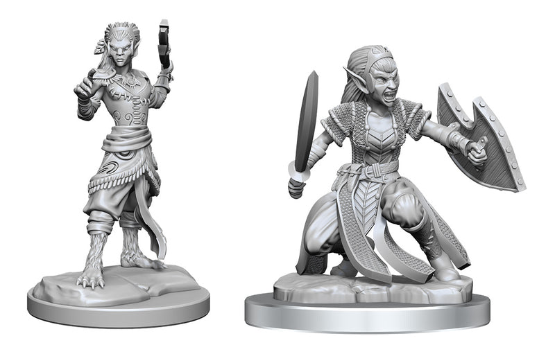 Wizkids - Nolzur's Marvelous Miniatures Wave 20