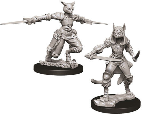 Wizkids - Nolzur's Marvelous Miniatures