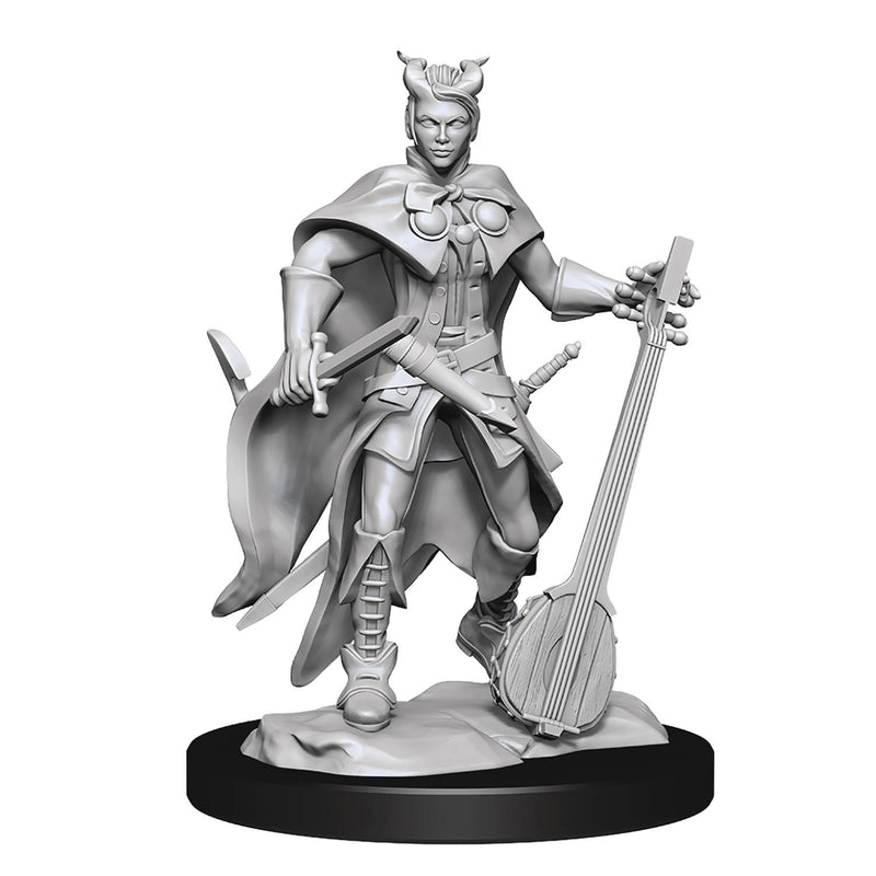 Wizkids - Nolzur's Marvelous Miniatures