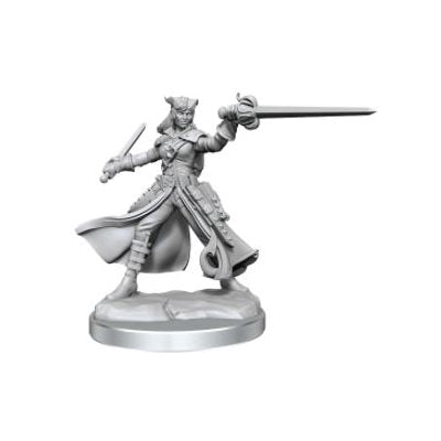 D&D - Frameworks - Tiefling Rogue Female | Event Horizon Hobbies CA