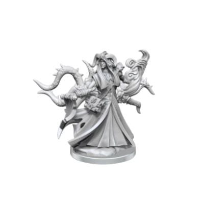 D&D - Frameworks - Tiefling Warlock Male | Event Horizon Hobbies CA