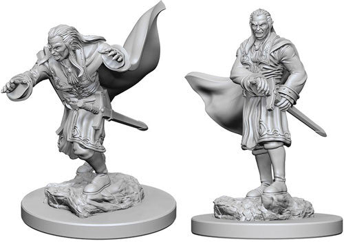 Wizkids - Nolzur's Marvelous Miniatures