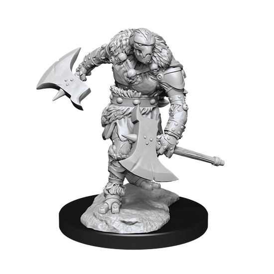 Wizkids - Nolzur's Marvelous Miniatures