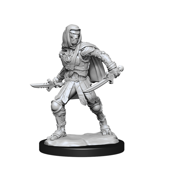 Wizkids - Nolzur's Marvelous Miniatures